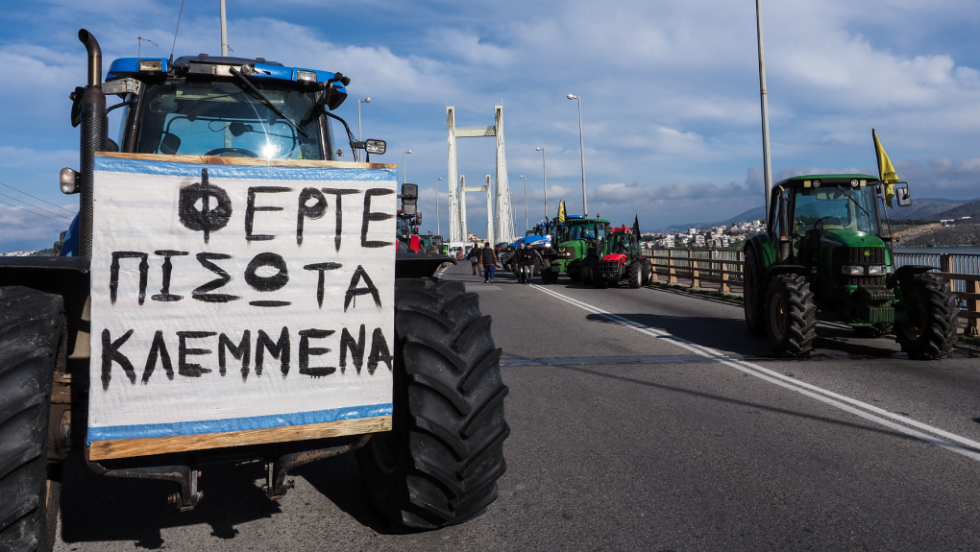 agrotes